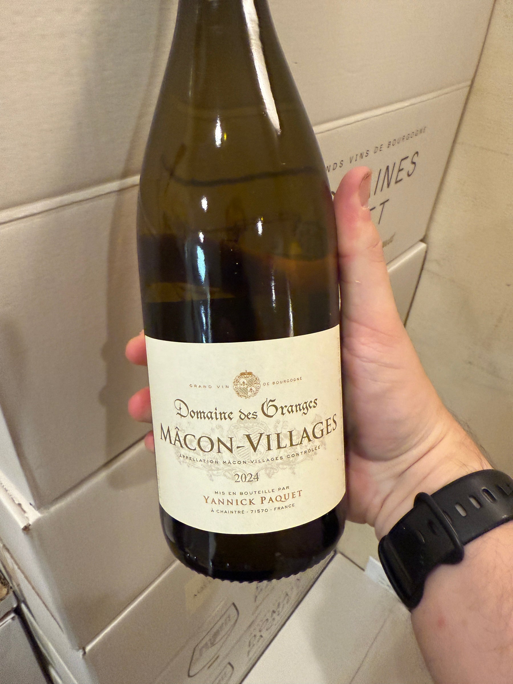 The $17.99 White Burgundy That Defies Logic!