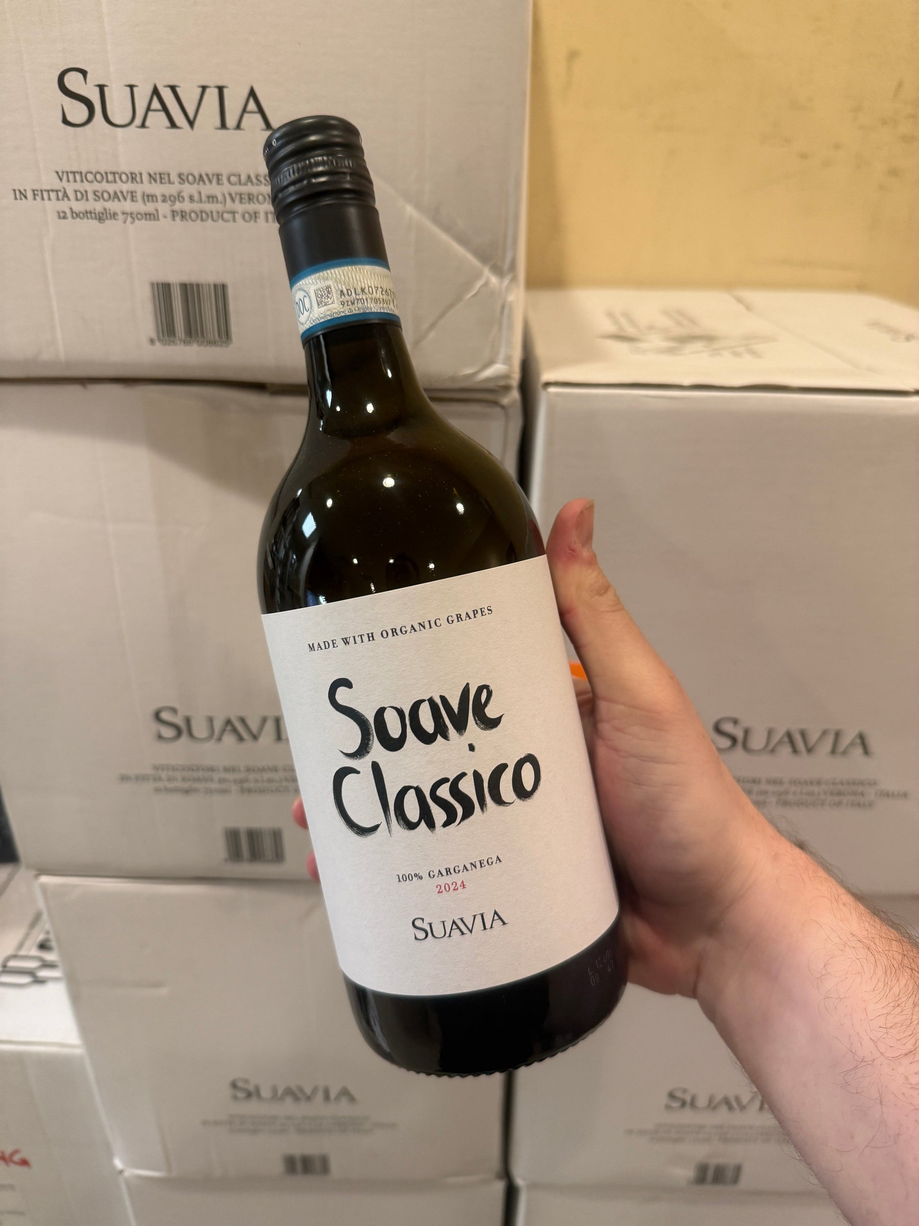95 Points of Italian White Goodness from the Tessari Sisters!