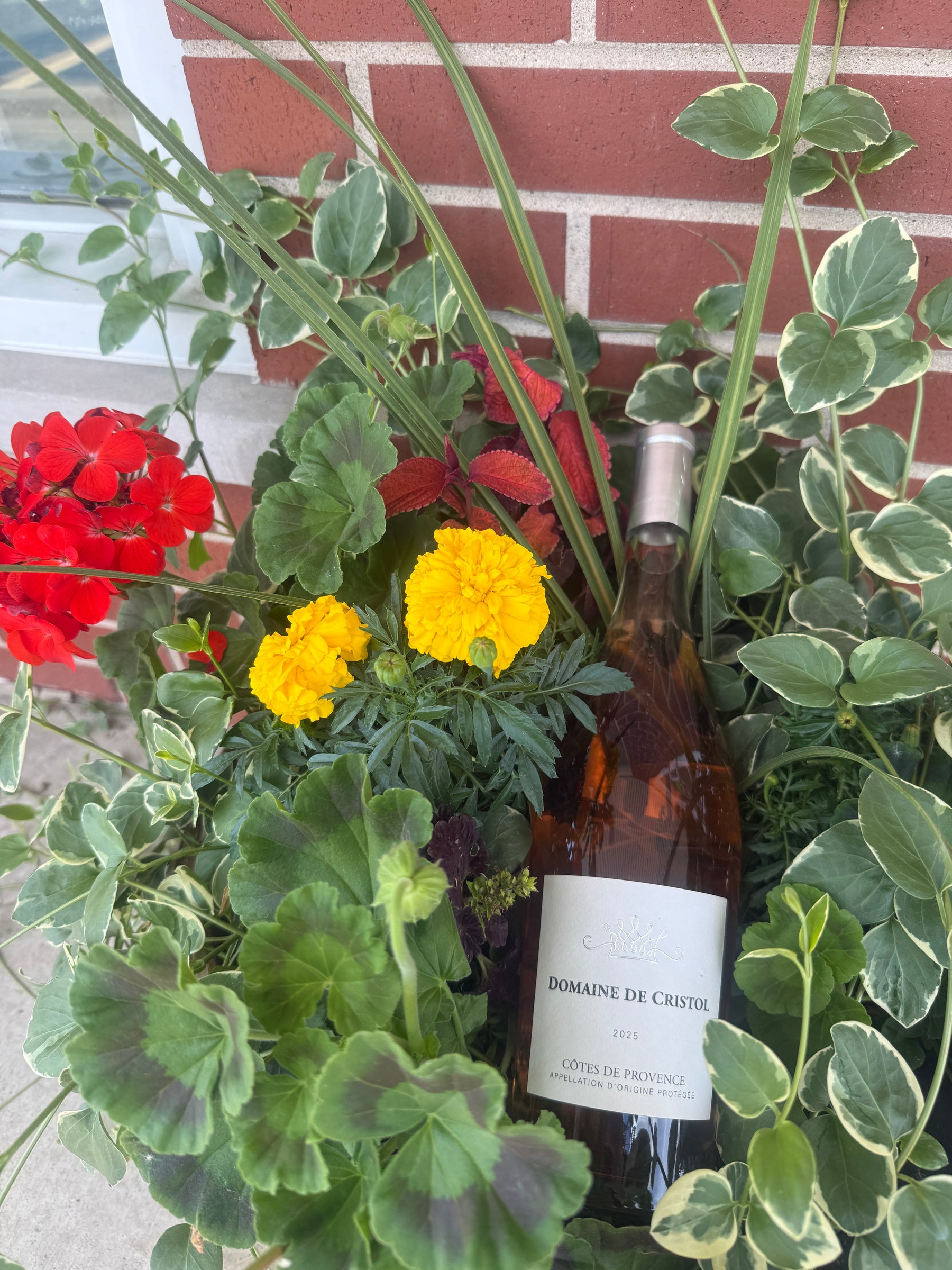Classic Provence Rosé for $17.99!