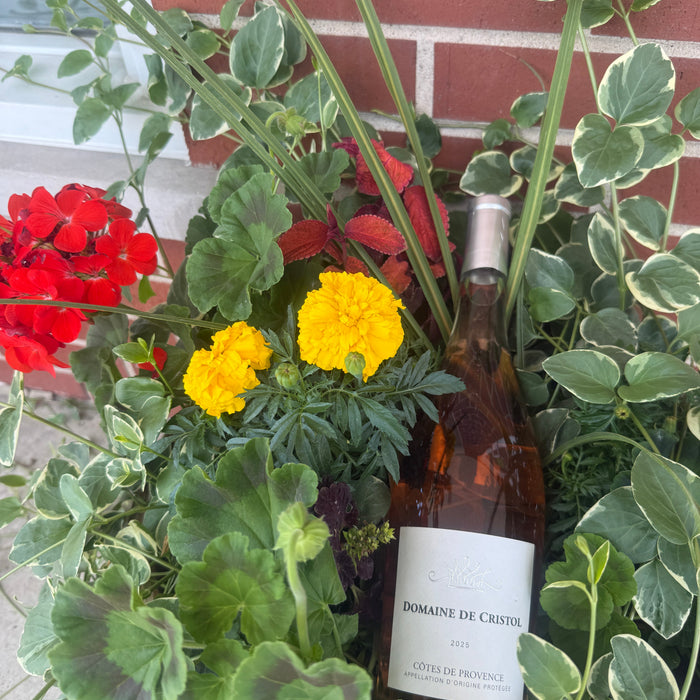 Classic Provence Rosé for $17.99!
