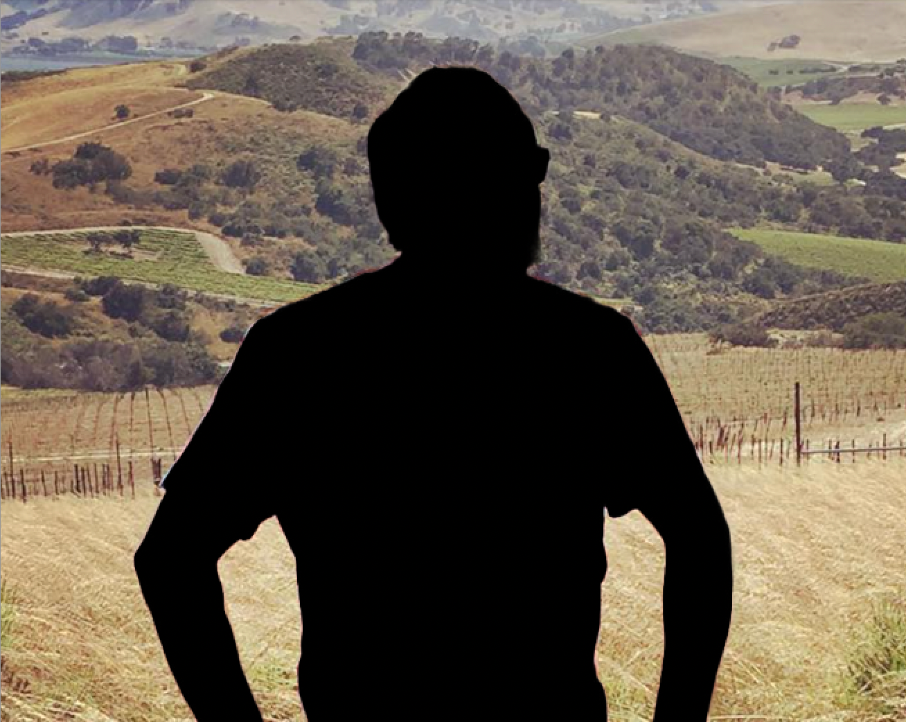 Mystery Cabernet from One of California's Most Dynamic Winemakers!