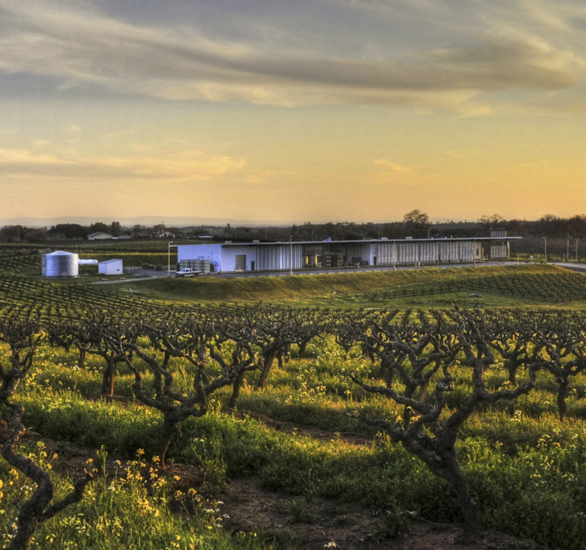 Wine Spectator Gives 92 Points to this $18.99 Philippe Melka Red!