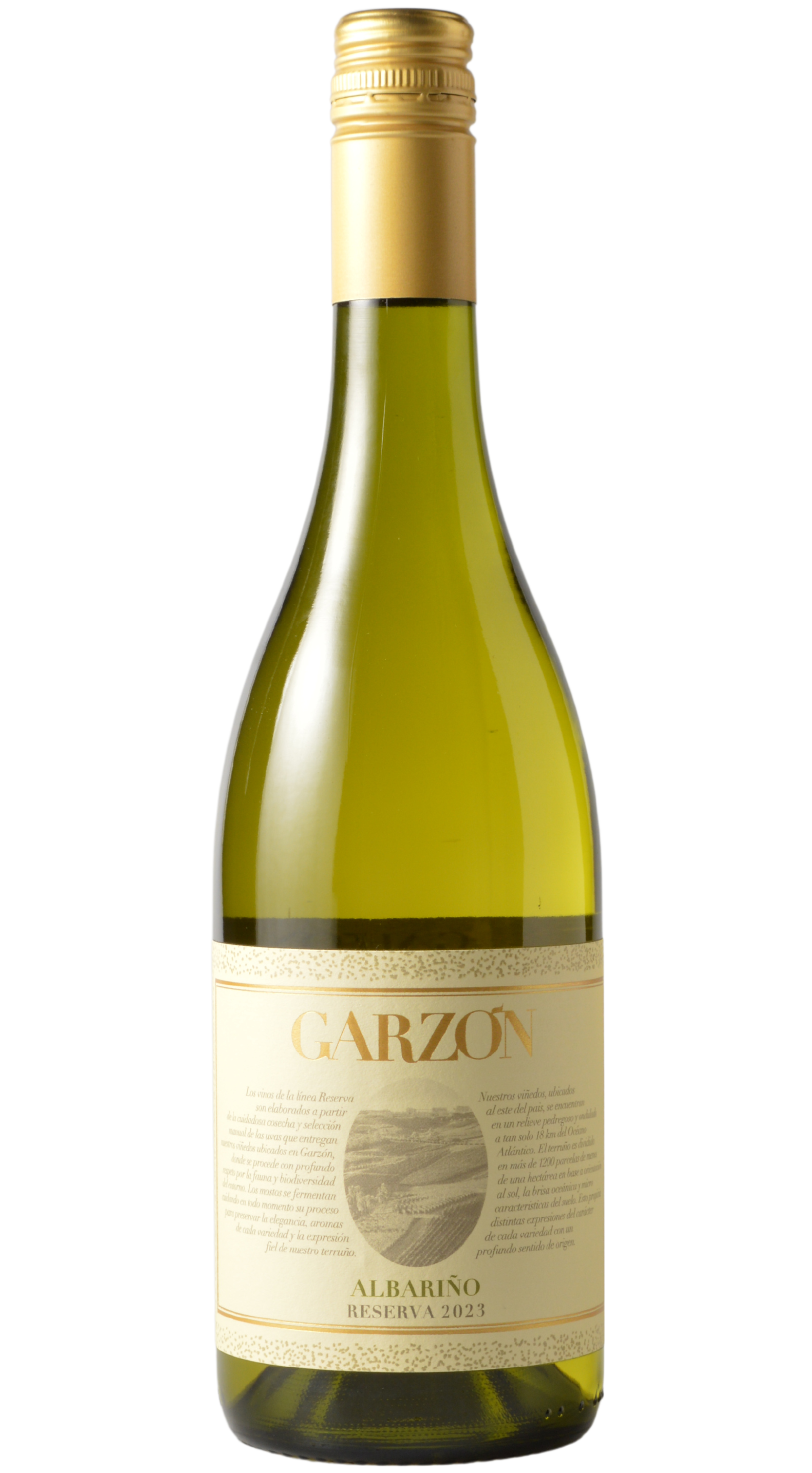 Bodega Garzon "Reserva" Uruguay Albarino 2023