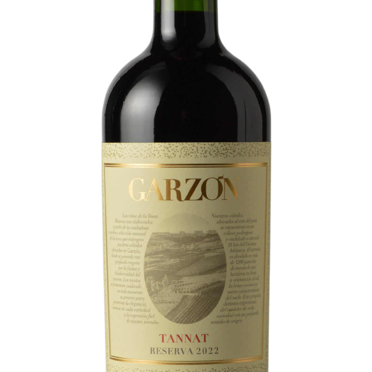 Bodega Garzon 