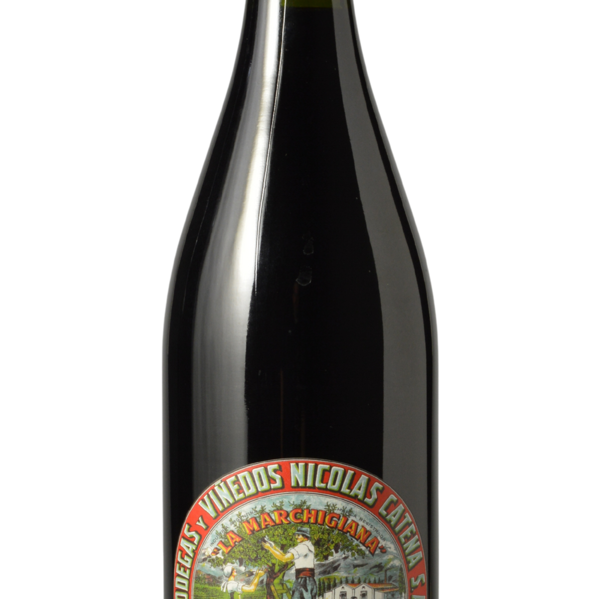 Bodegas y Vinedos Nicolas Catena 