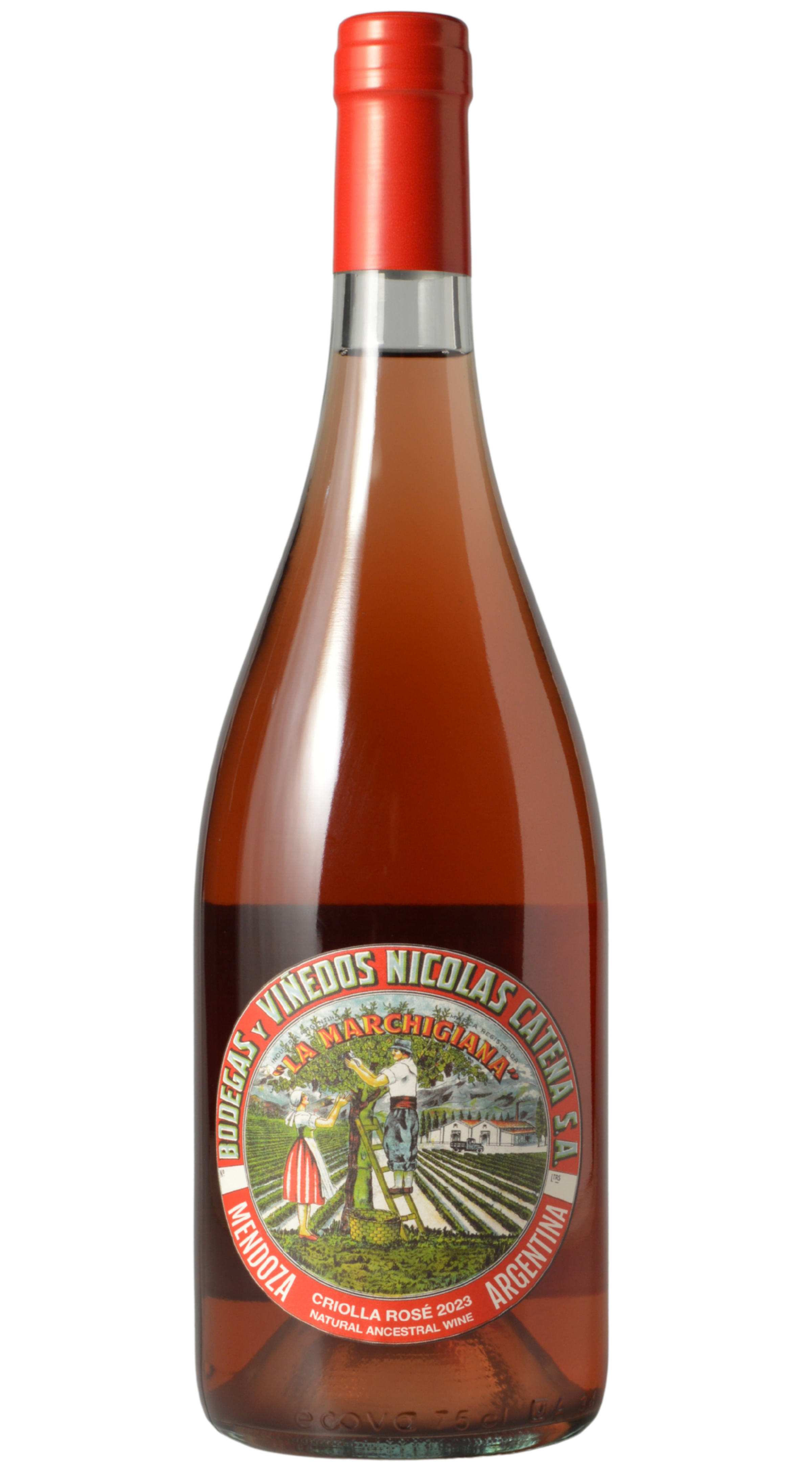 Bodegas y Vinedos Nicolas Catena "La Marchigiana" Mendoza Criolla Chica Rosé 2023