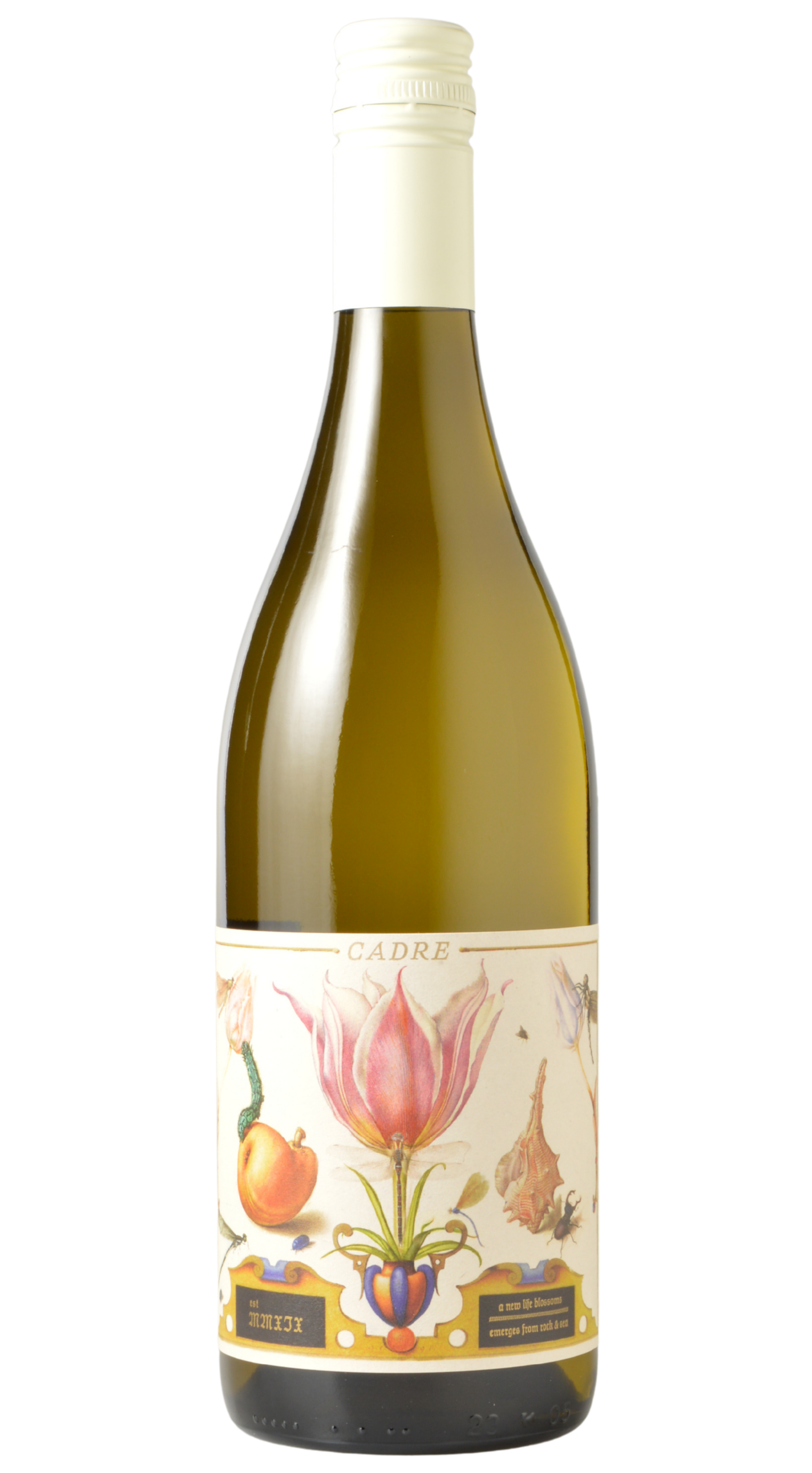 Cadre "Stone Blossom" Edna Valley Sauvignon Blanc 2024
