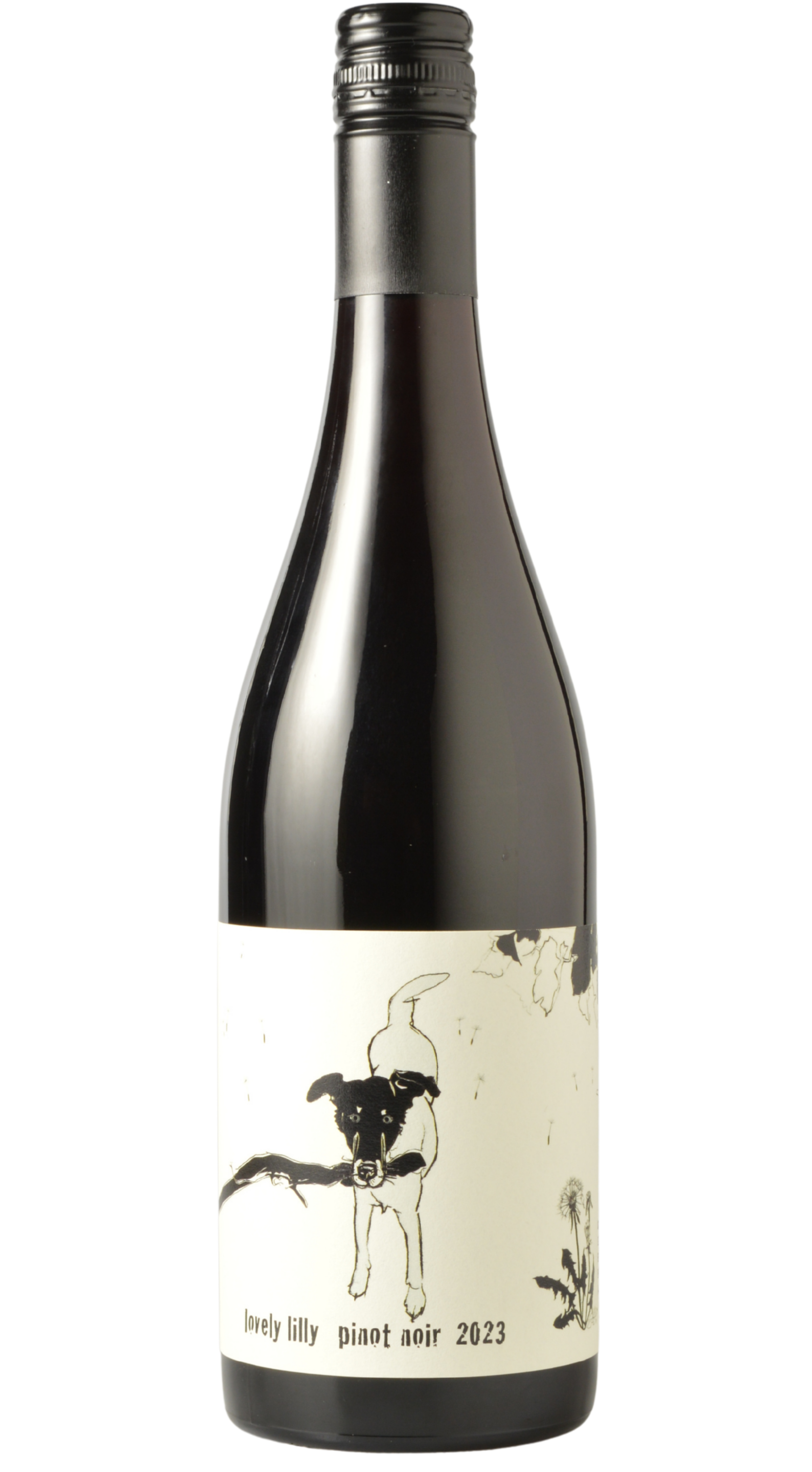 Shelter "Lovely Lilly" Baden Pinot Noir 2023