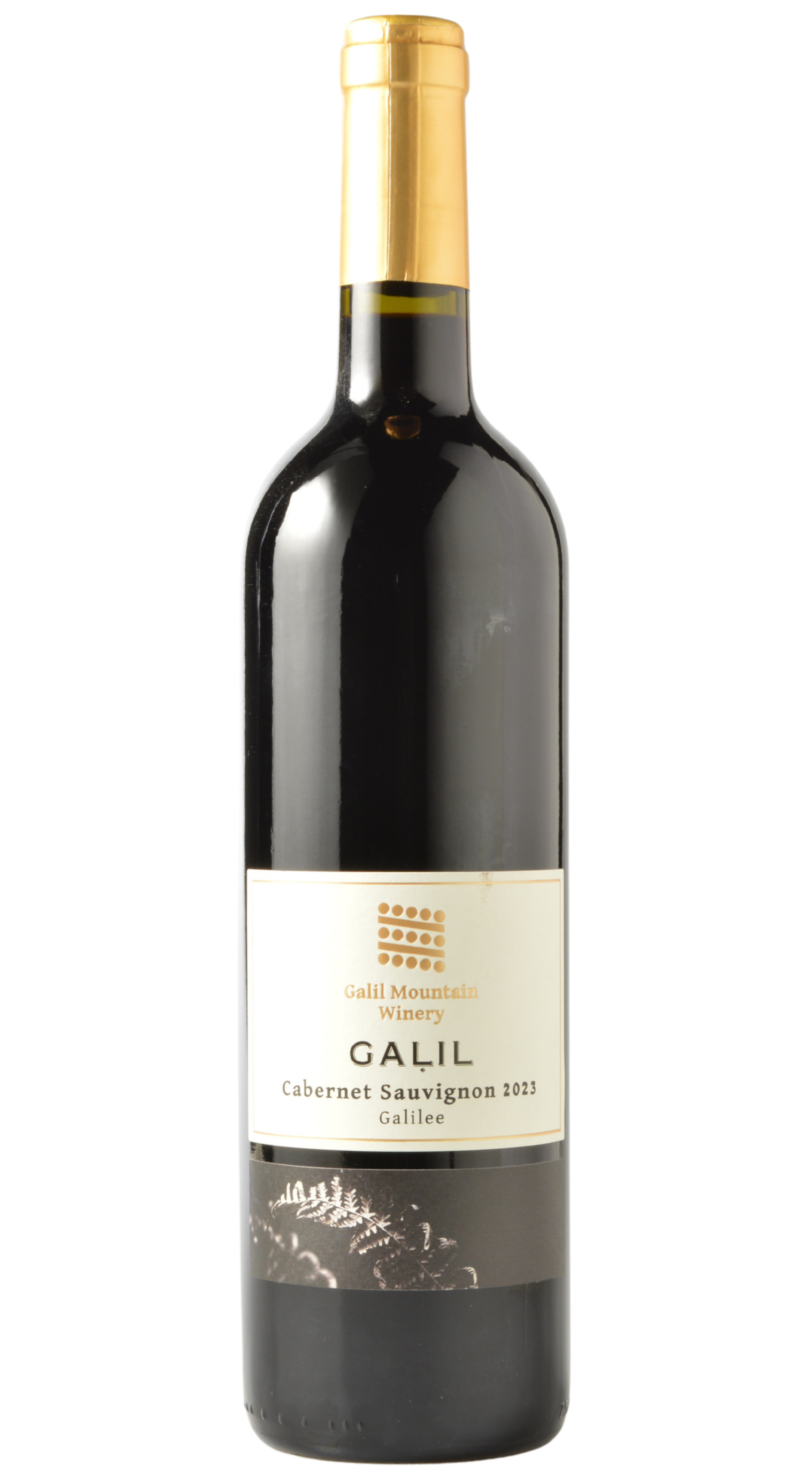 Galil Mountain Winery Galilee Cabernet Sauvignon 2023