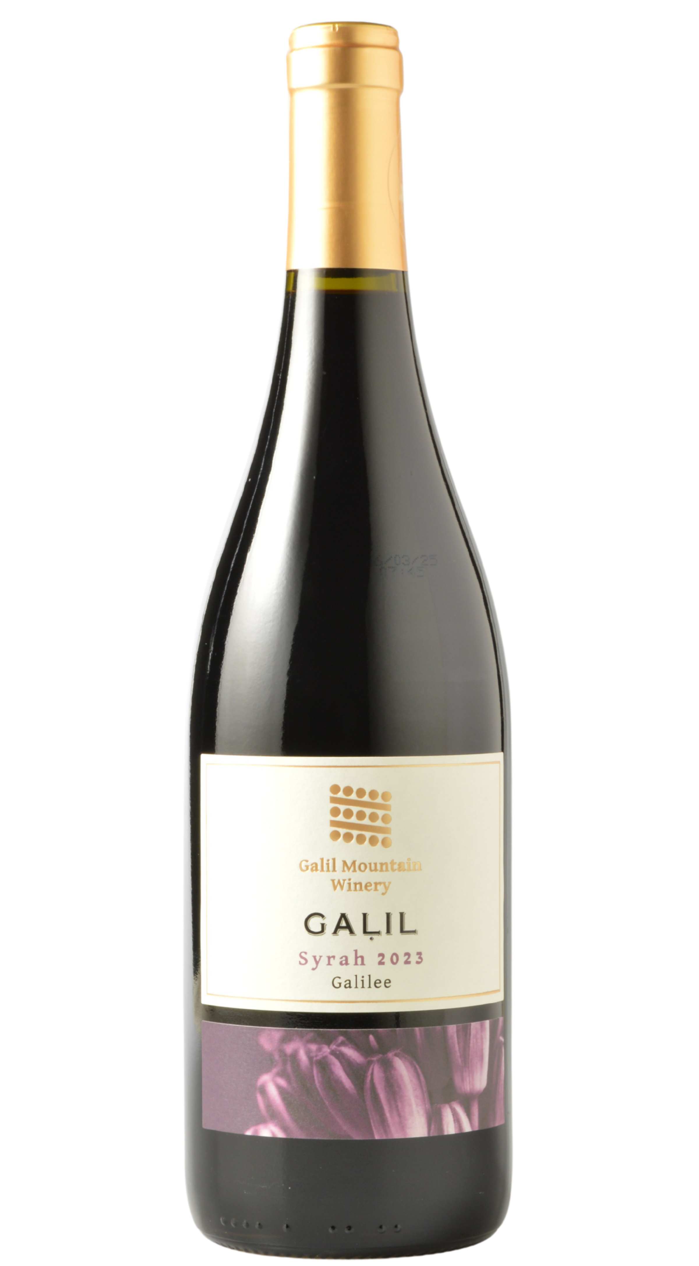 Galil Mountain Winery Galilee Syrah 2023