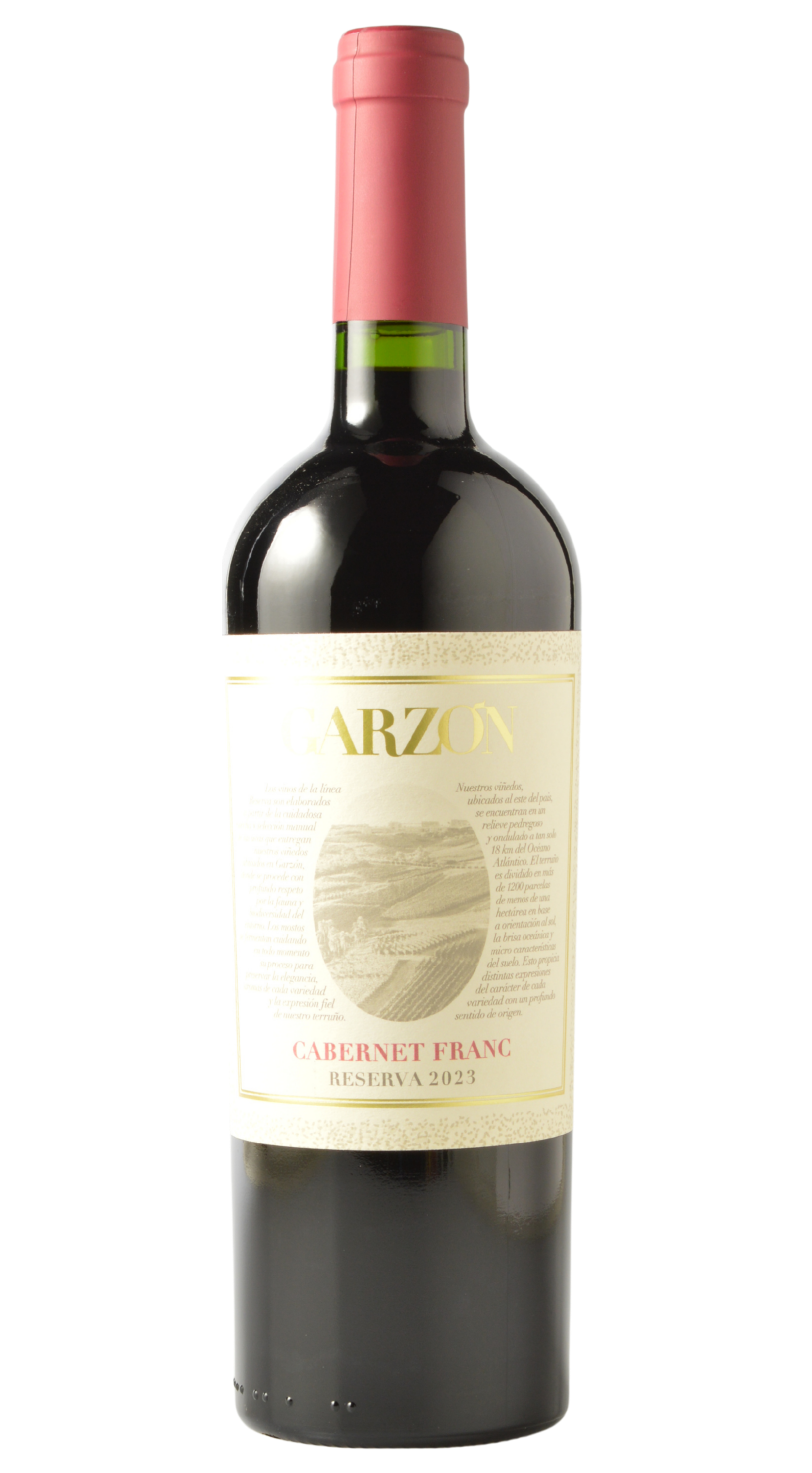 Bodega Garzon "Reserva" Uruguay Cabernet Franc 2023