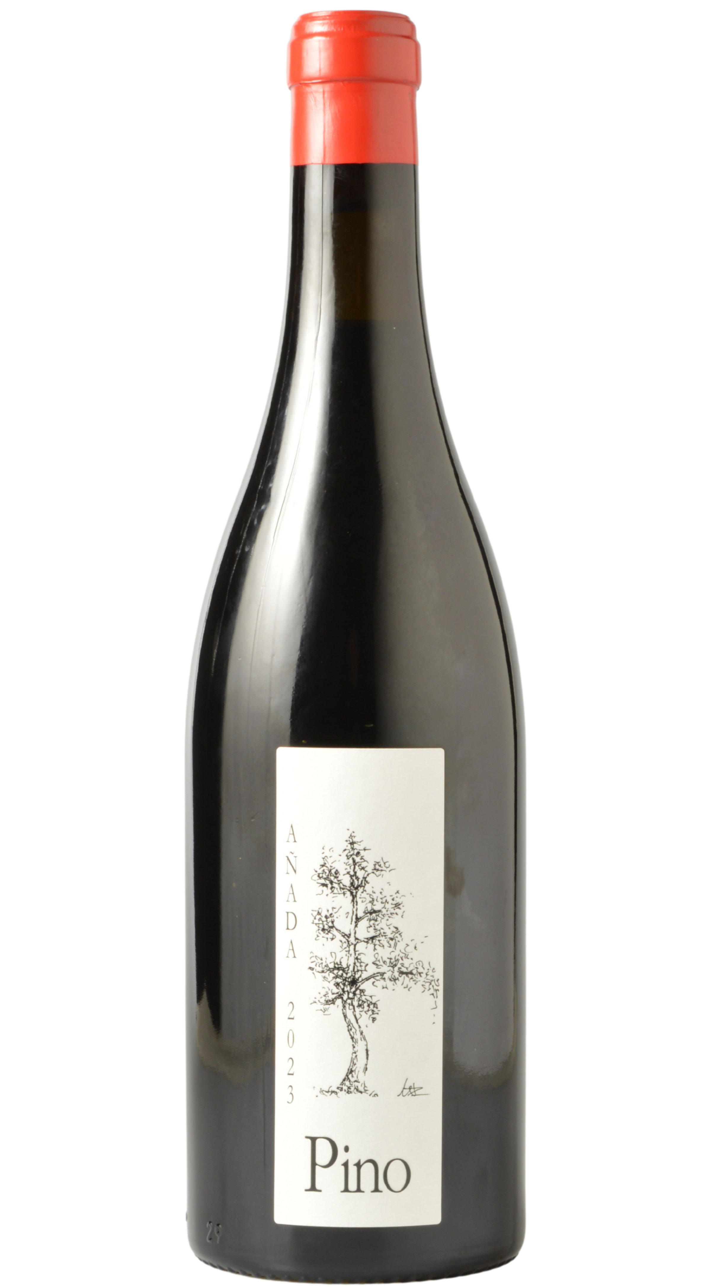 Bodegas Ponce "Pino" Manchuela Bobal 2023
