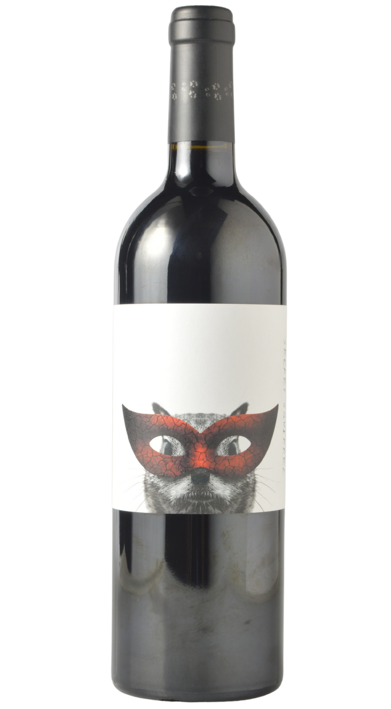Email Offer - Corliss and Secret Squirrel
