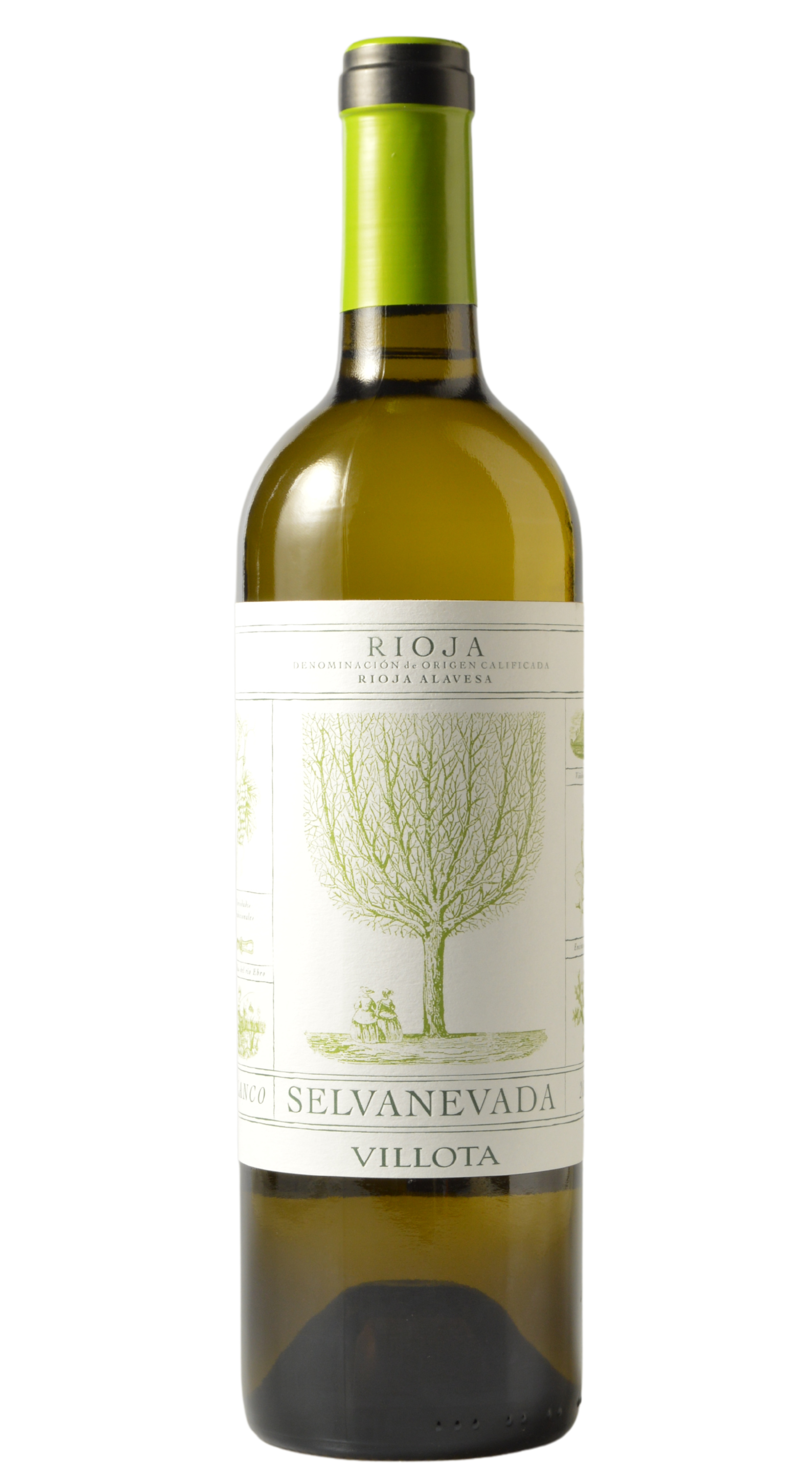 Villota "Selvanevada" Rioja Blanco 2022