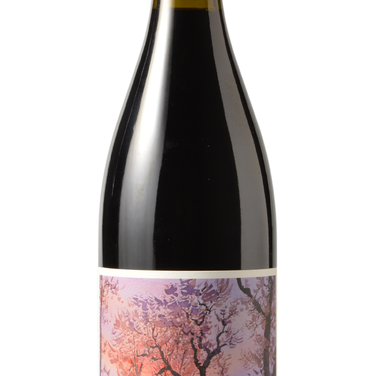 Johan Vineyards Van Duzer Corridor Blaufränkisch 2021 — Vin Chicago
