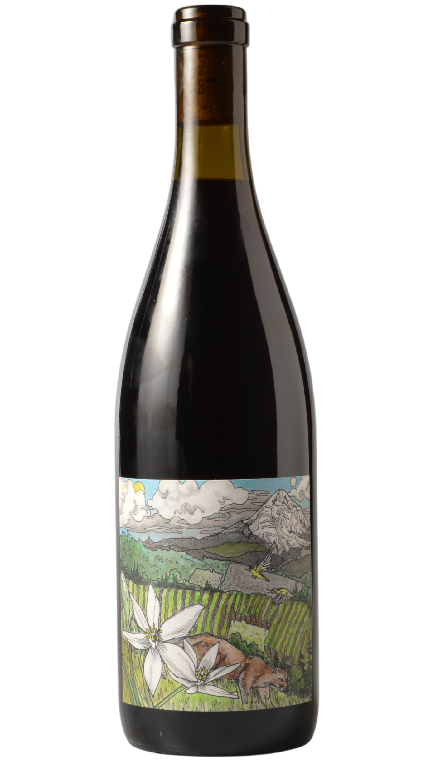 Winery Spotlight: Kelley Fox