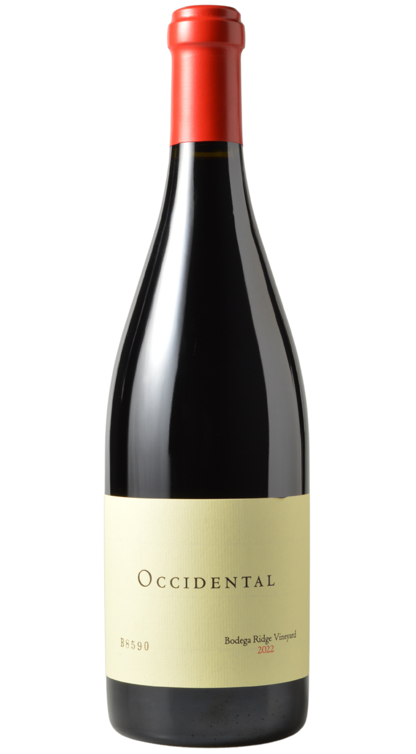4/2 Email Offer - Occidental