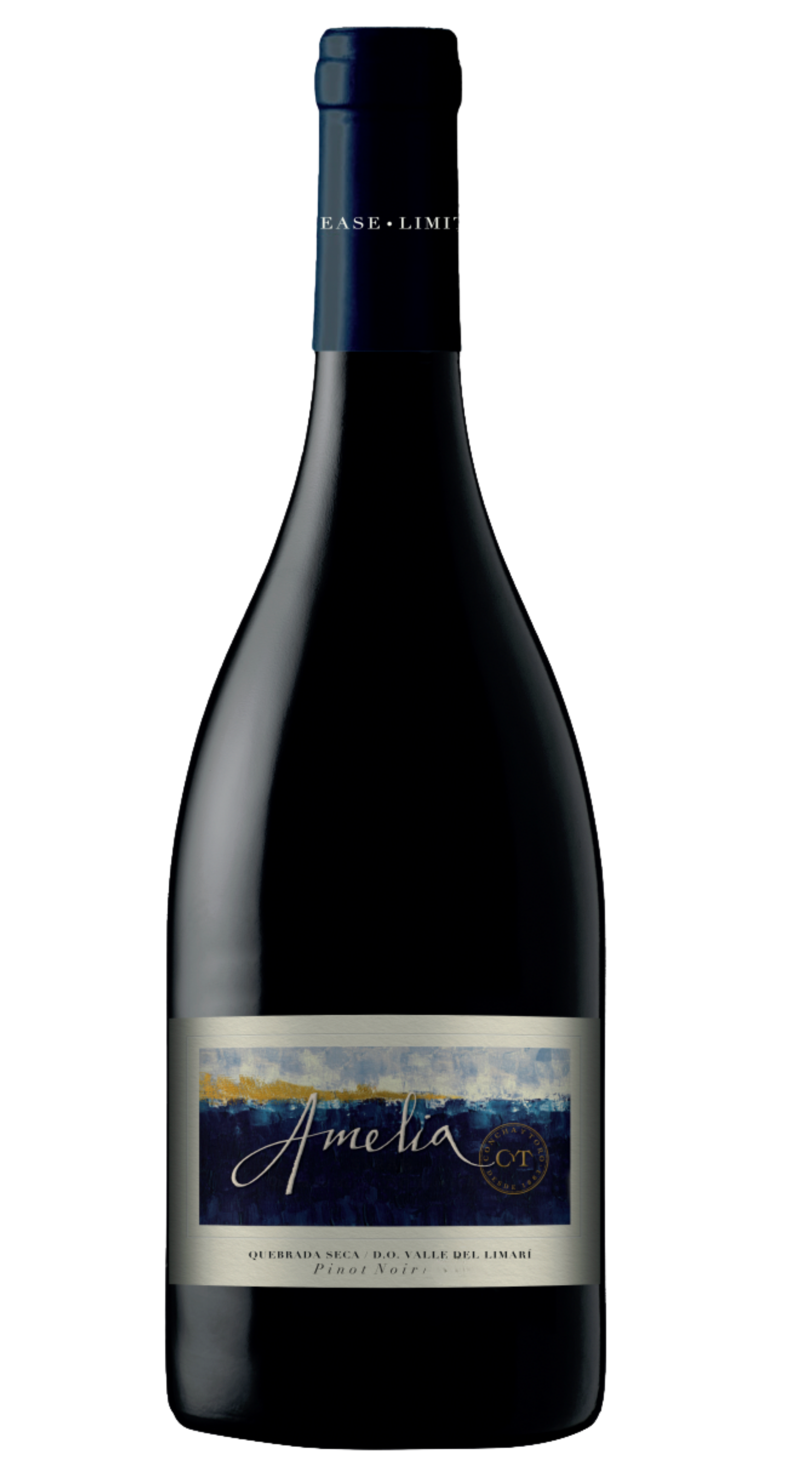 Amelia Limari Valley Pinot Noir 2023