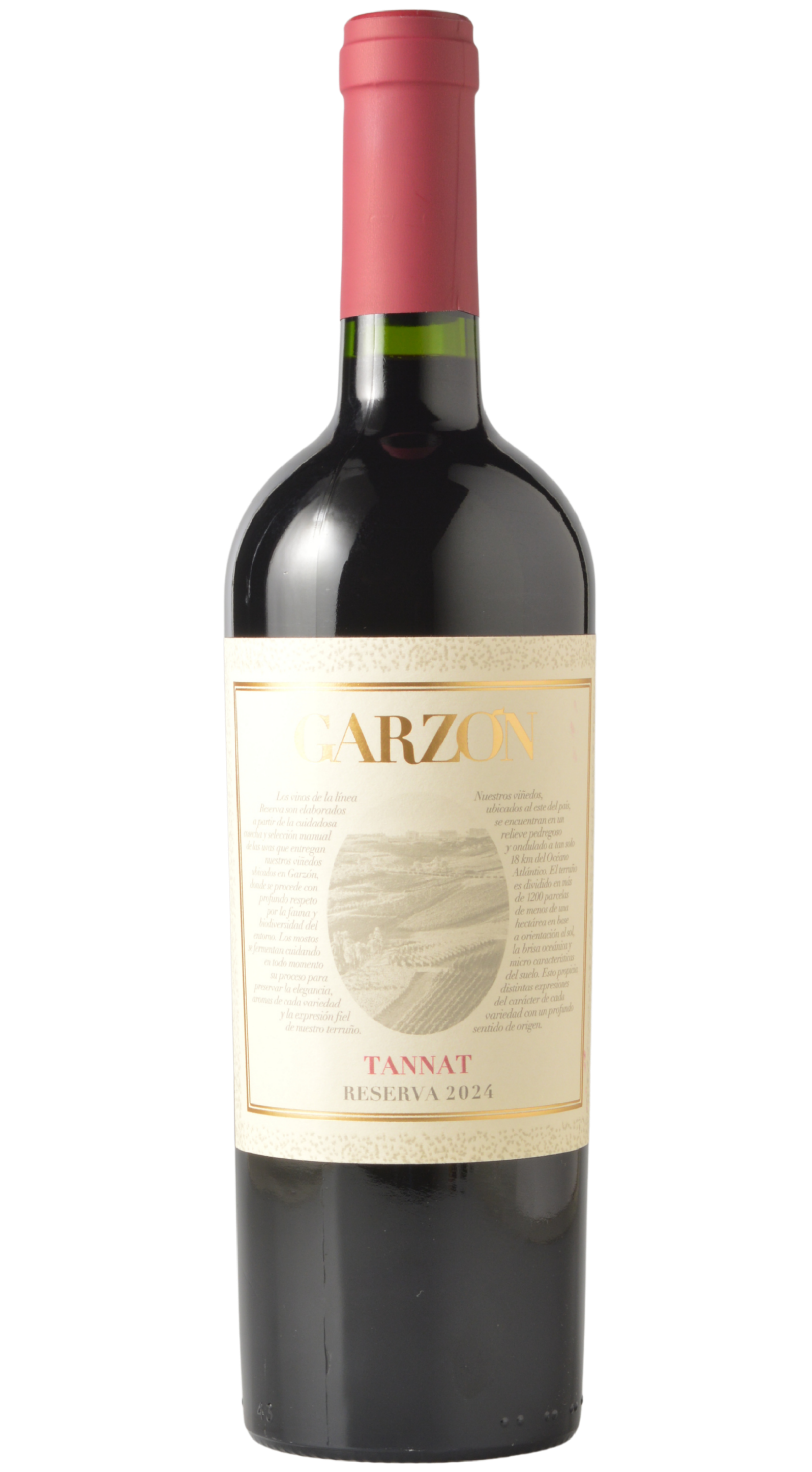 Bodega Garzón Uruguay Tannat 2024