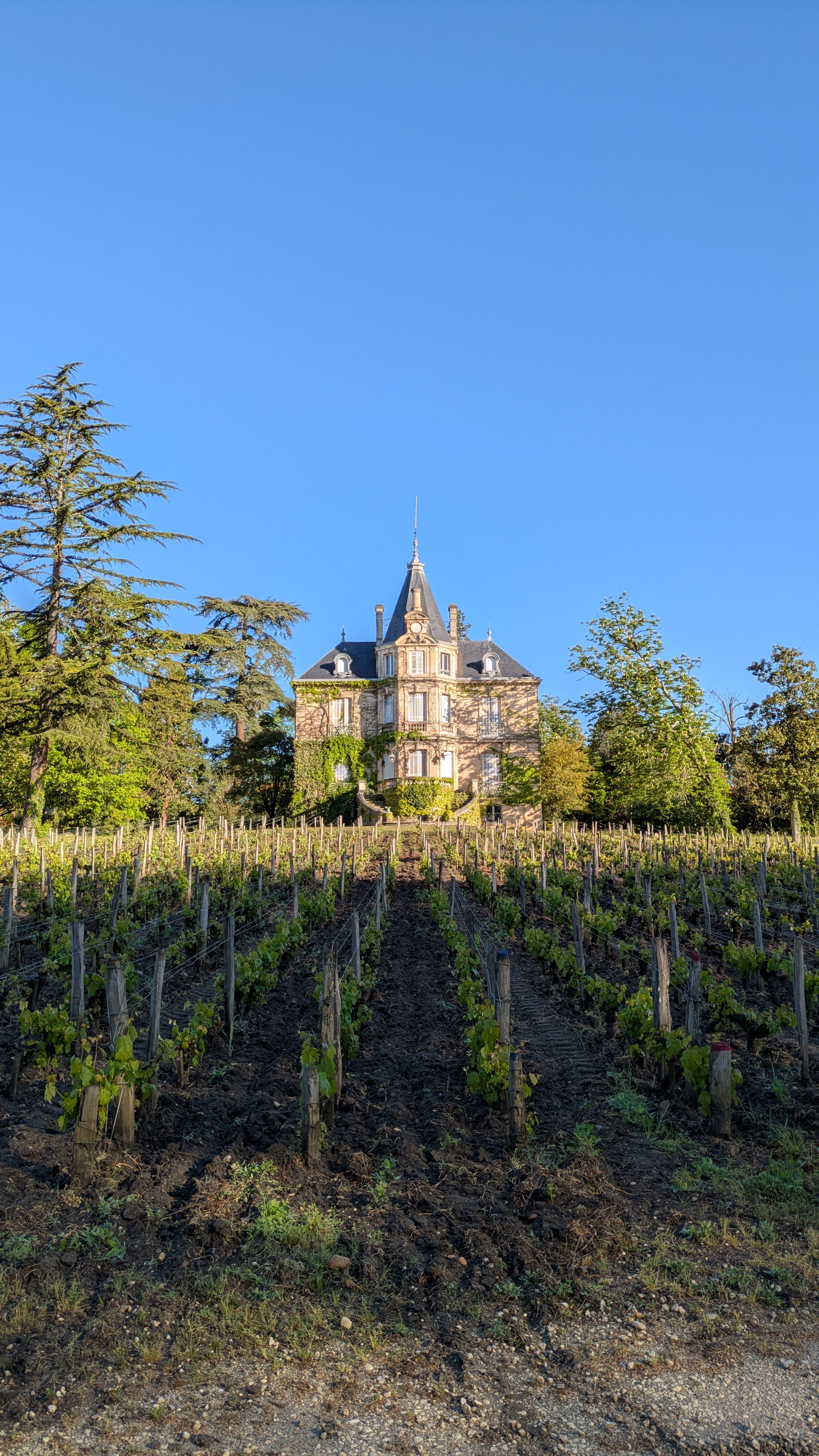 Château Les Carmes Haut-Brion Pessac-Léognan 2022