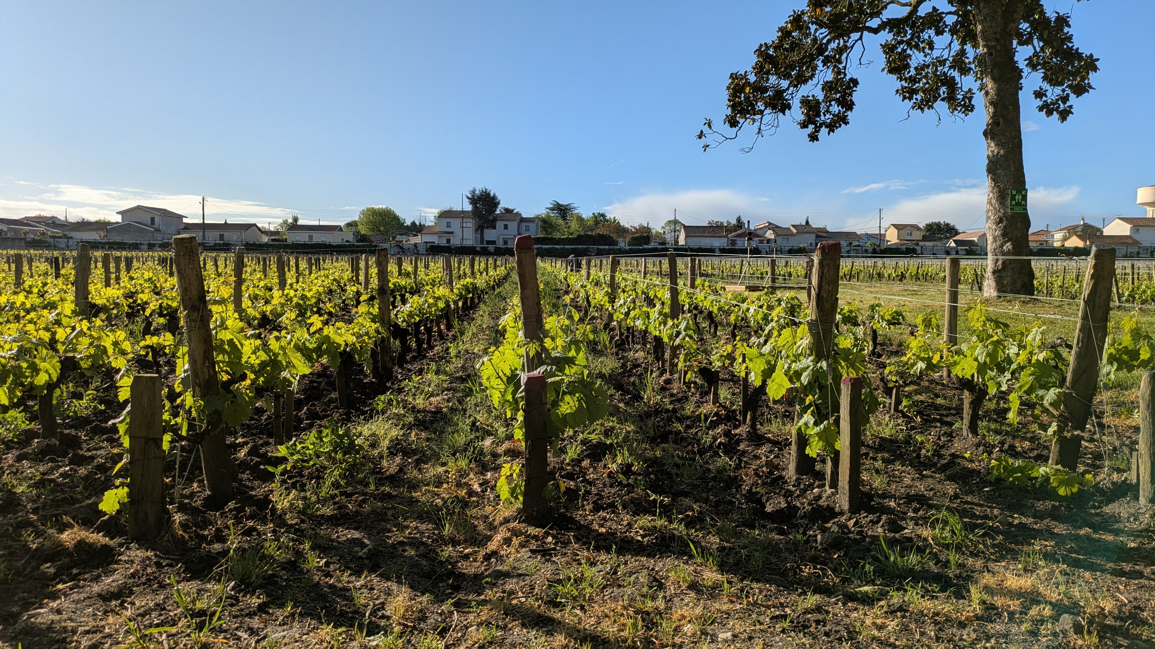 Château Les Carmes Haut-Brion Pessac-Léognan 2022
