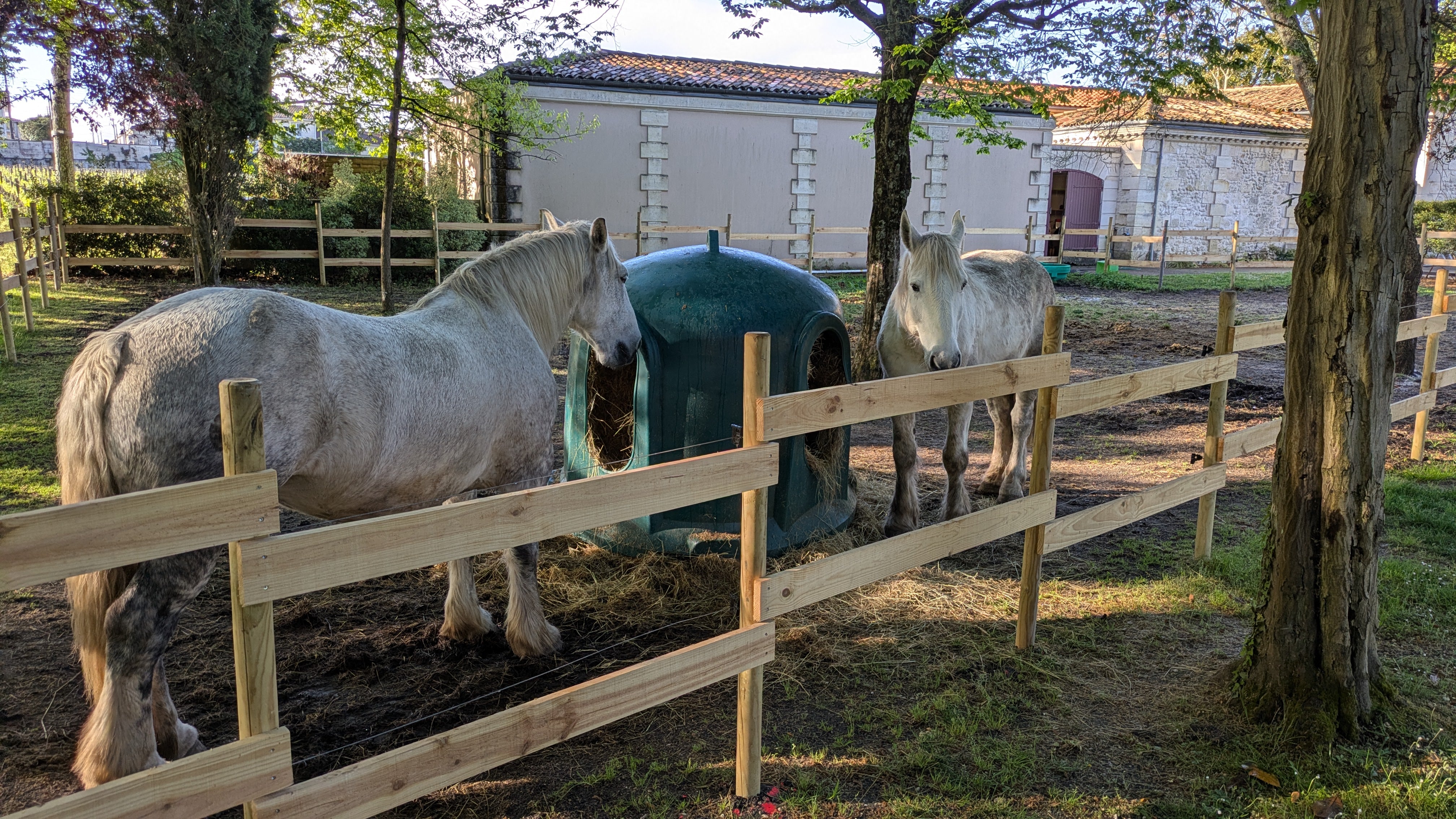 Château Les Carmes Haut-Brion Pessac-Léognan 2022