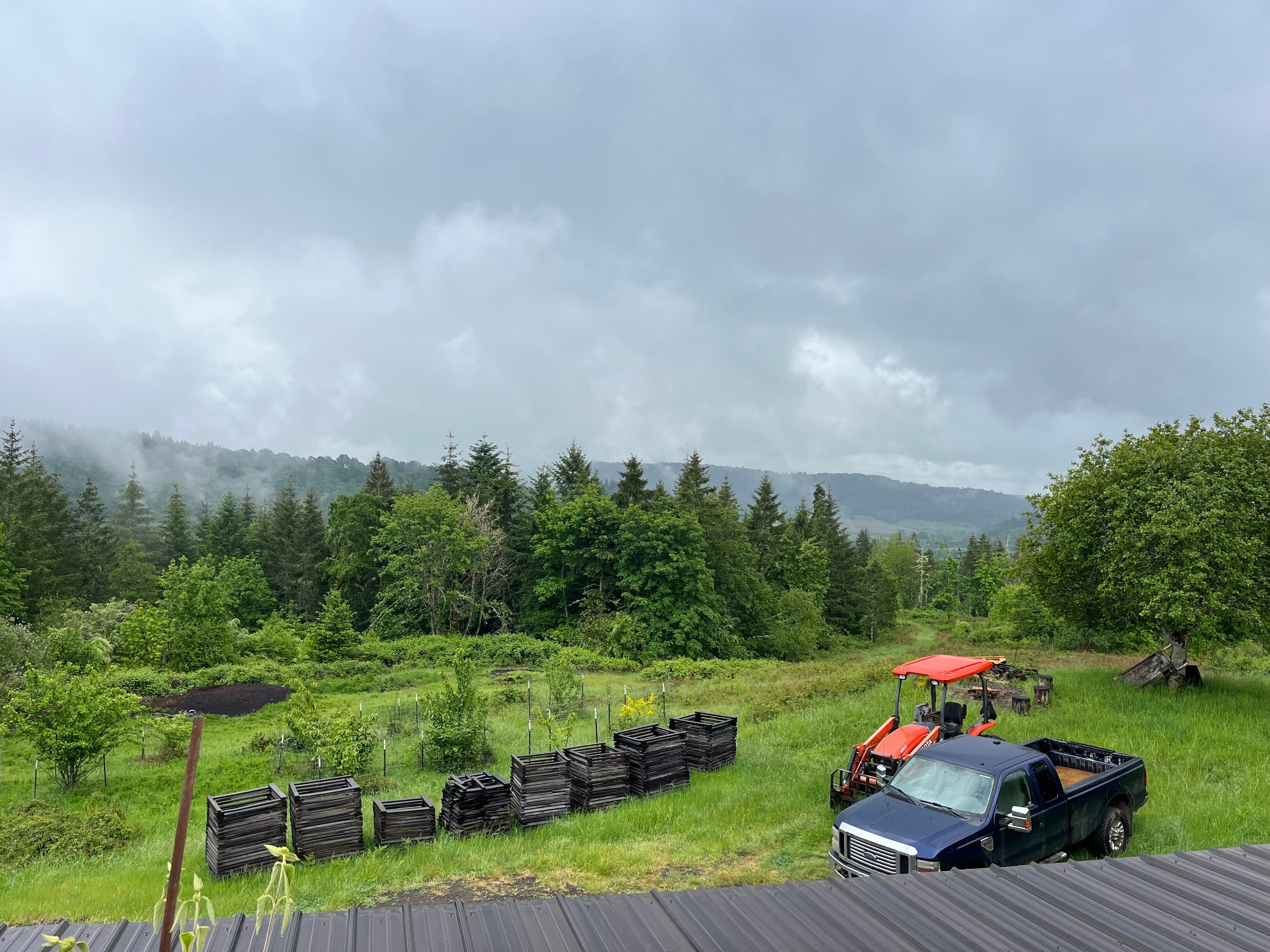 Martin Woods "Jessie James Vineyard" Eola-Amity Hills Pinot Noir 2022