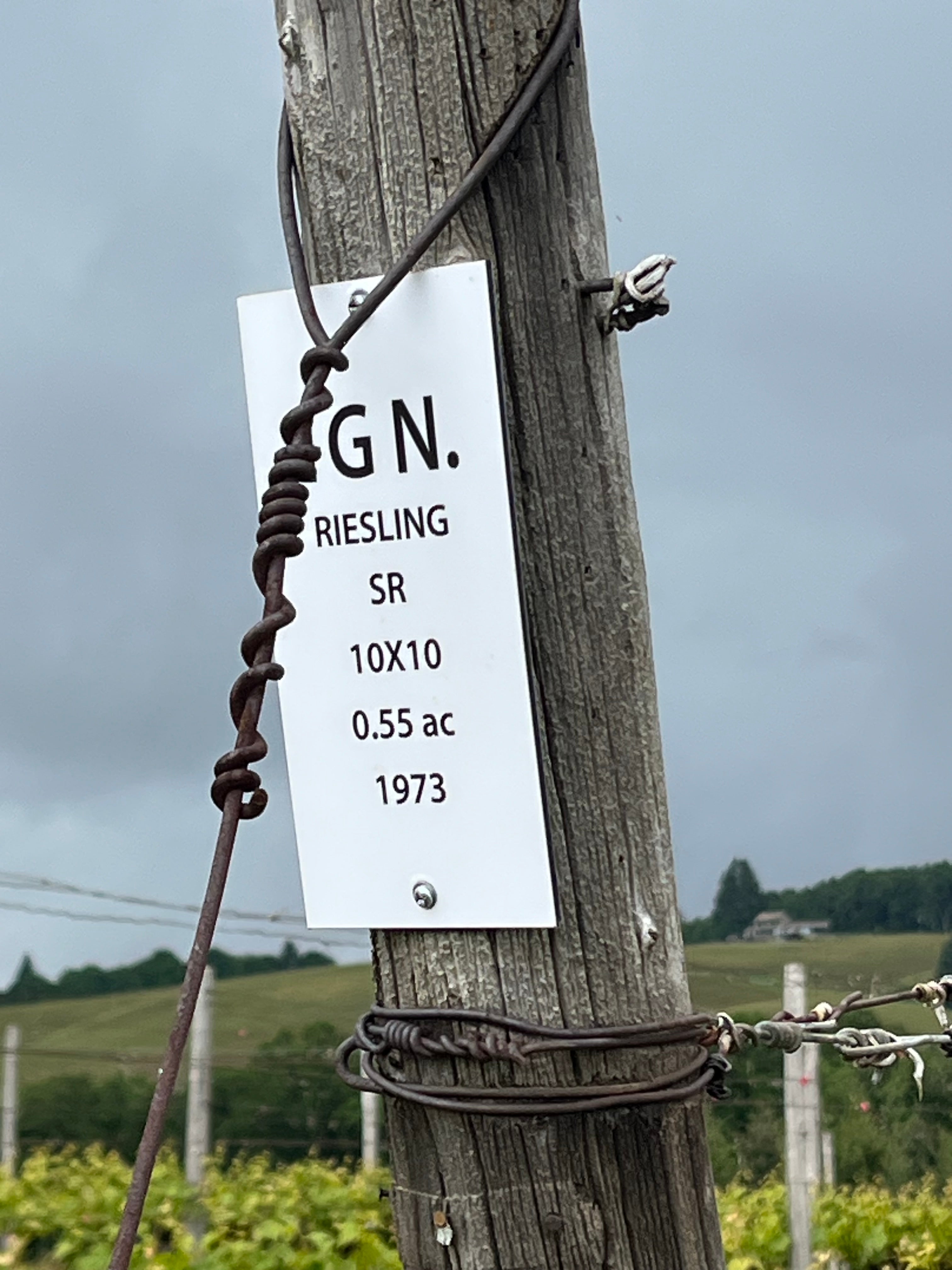 Martin Woods "Hyland Vineyard" McMinnville Riesling 2022