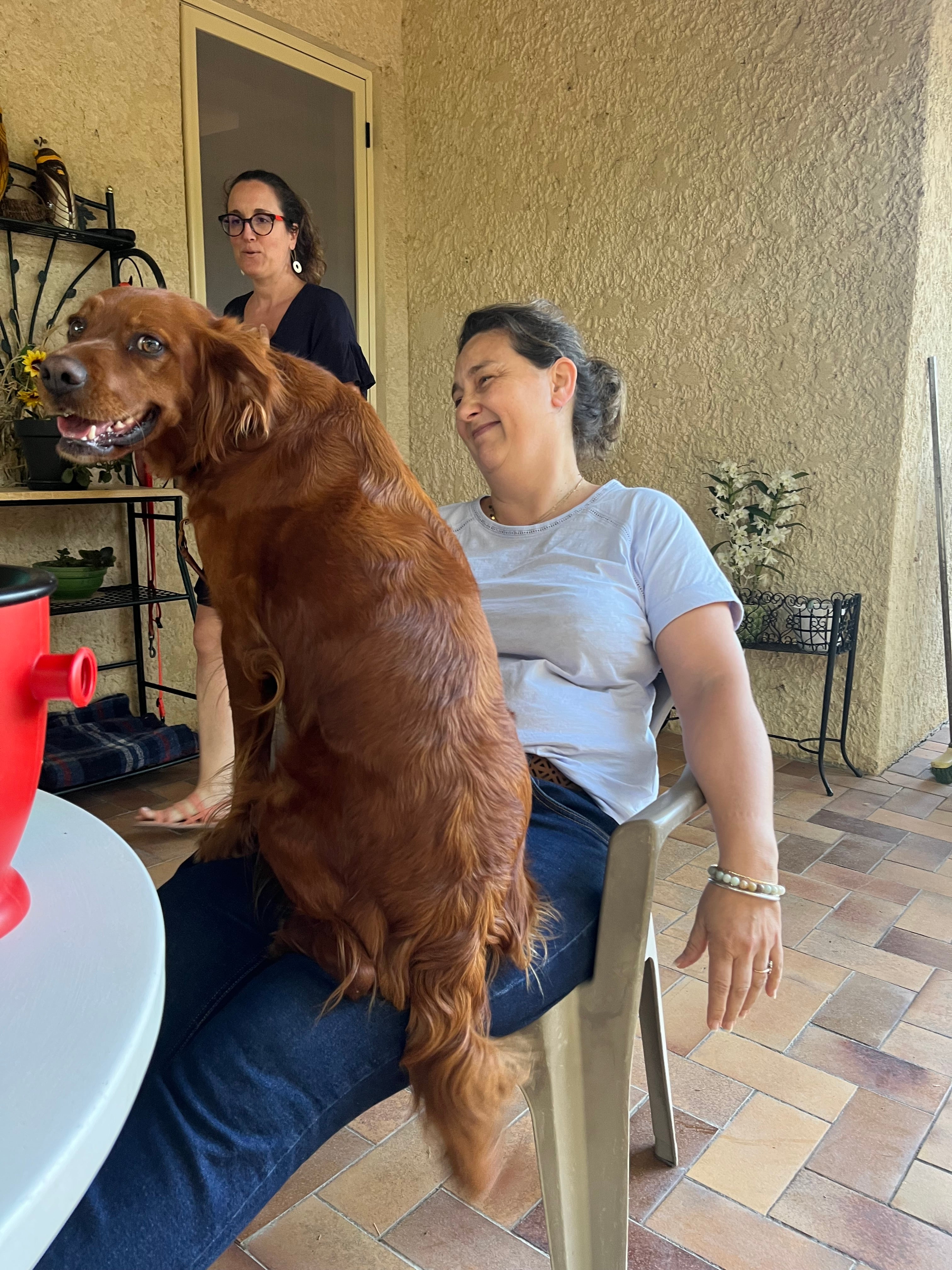 Domaine Font de Courtedune "Vieilles Vignes" Côtes du Rhône 2022