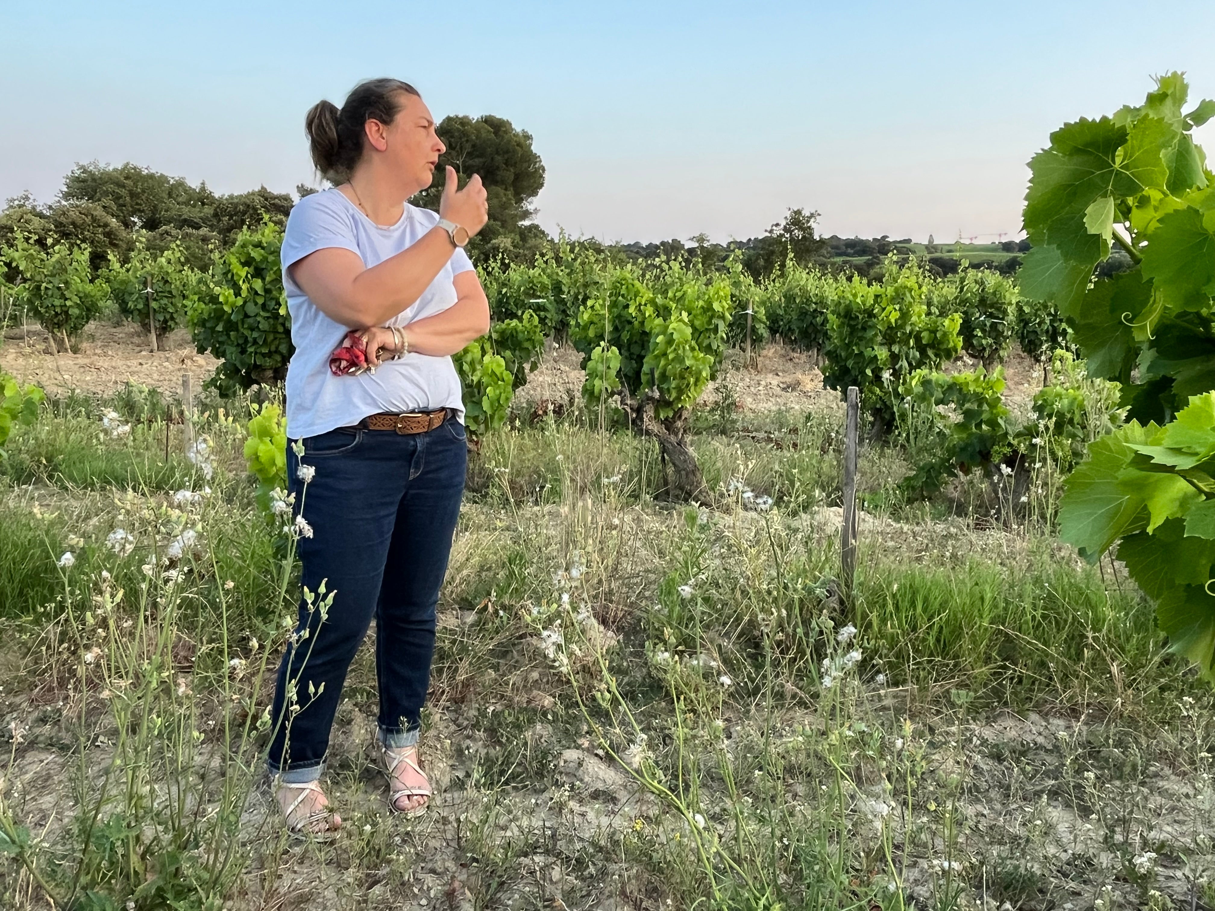 Domaine Font de Courtedune "Vieilles Vignes" Côtes du Rhône 2022