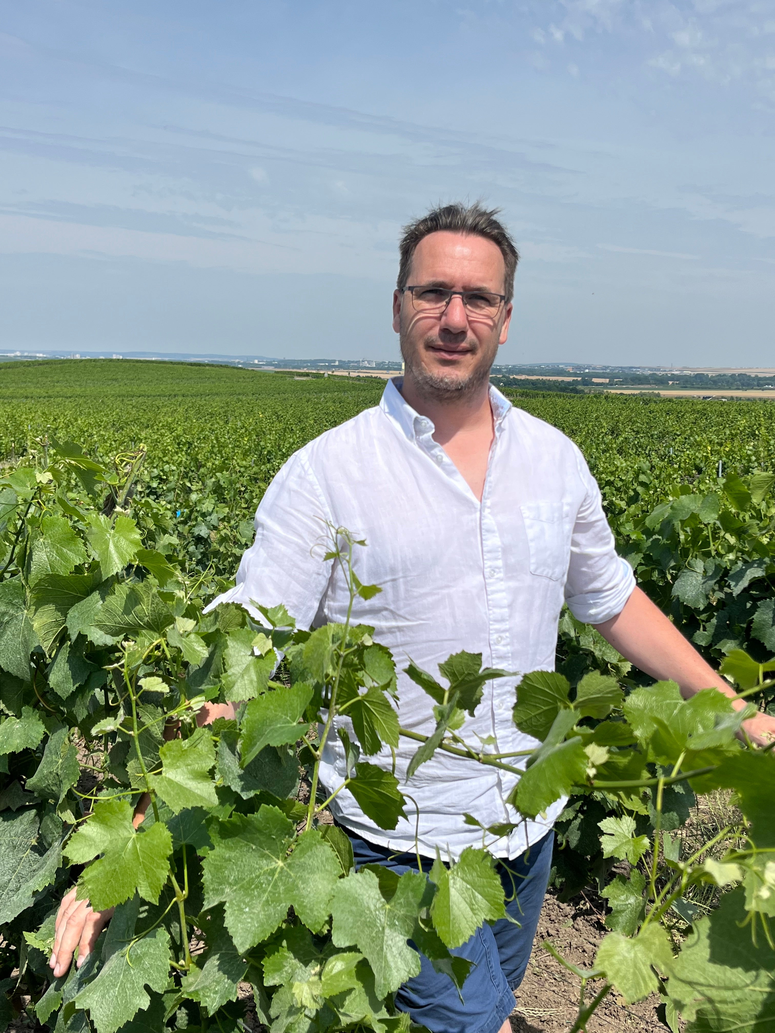 Lafalise-Froissart Verzenay Grand Cru Brut Champagne (2022) NV