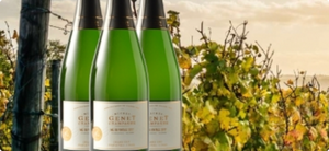 <p>A Stunning, 93-Point Vintage<br/>Champagne from Michel Genet!</p>