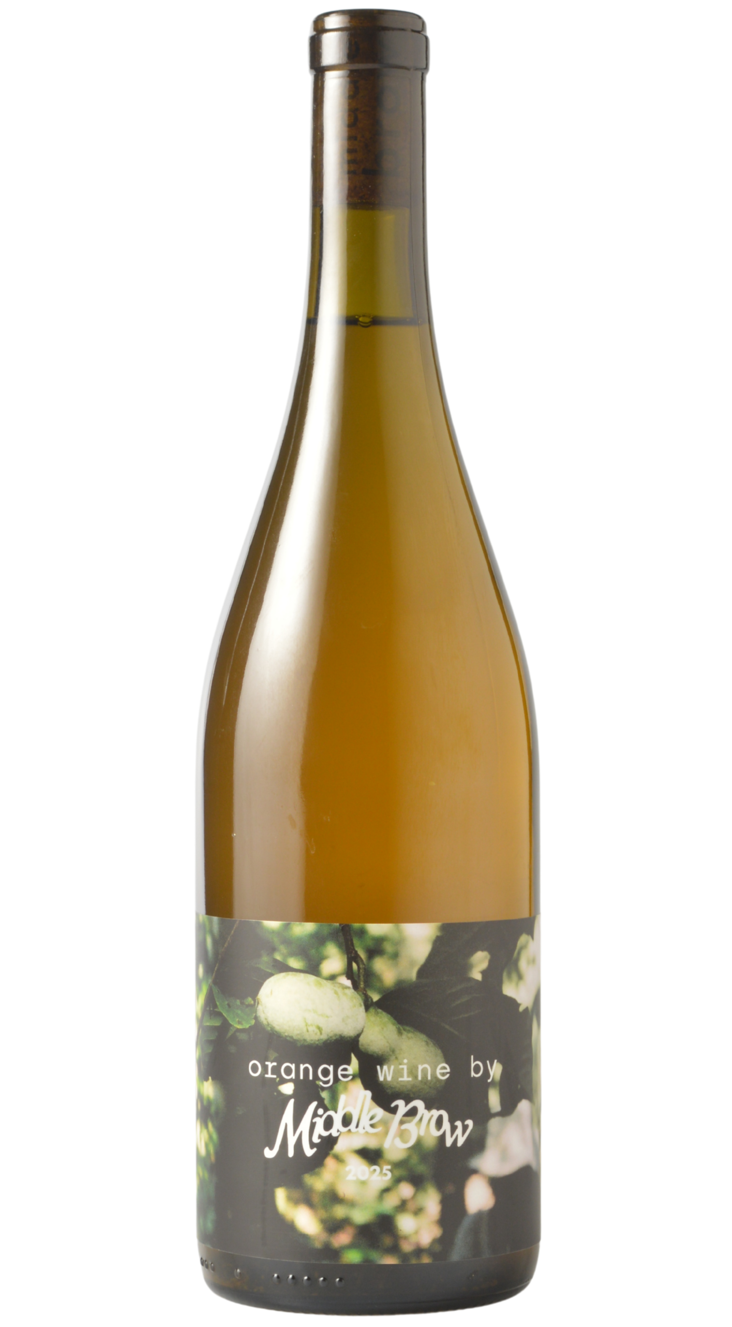 Middle Brow Wine Co "Seedling" Seyval Blanc 2025