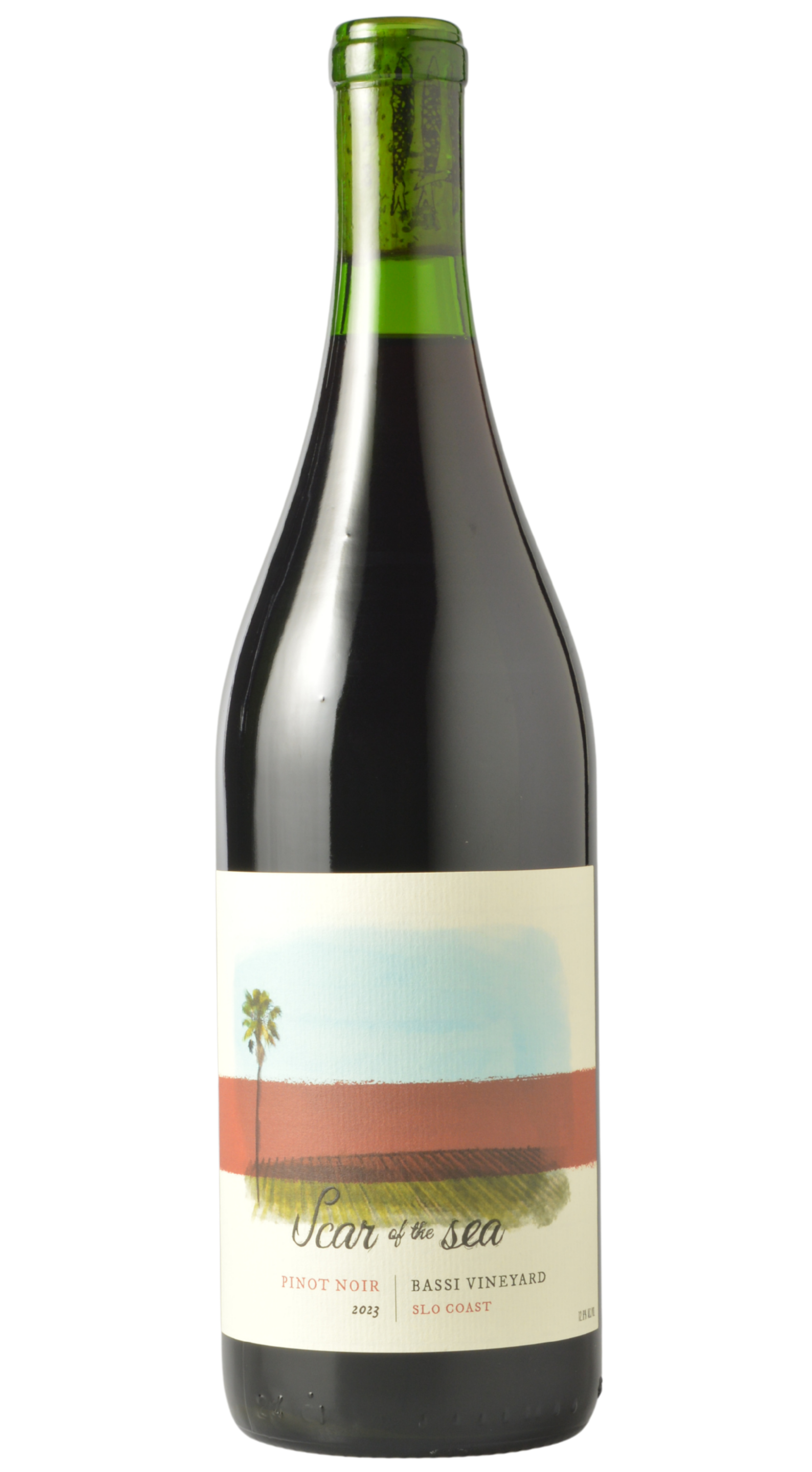 Scar of the Sea "Bassi Vineyard" San Luis Obispo Coast Pinot Noir 2023