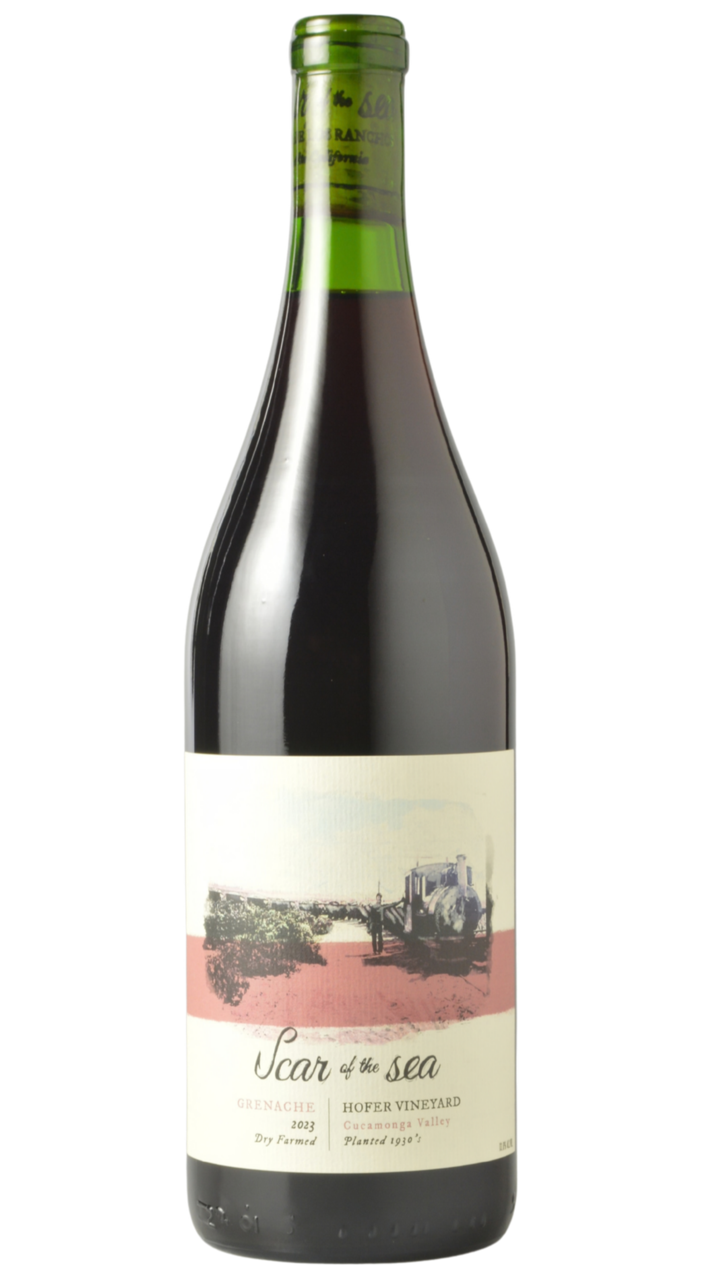 Scar of the Sea "Old Vine - Hofer Vineyard" Cucamonga Valley Grenache 2023