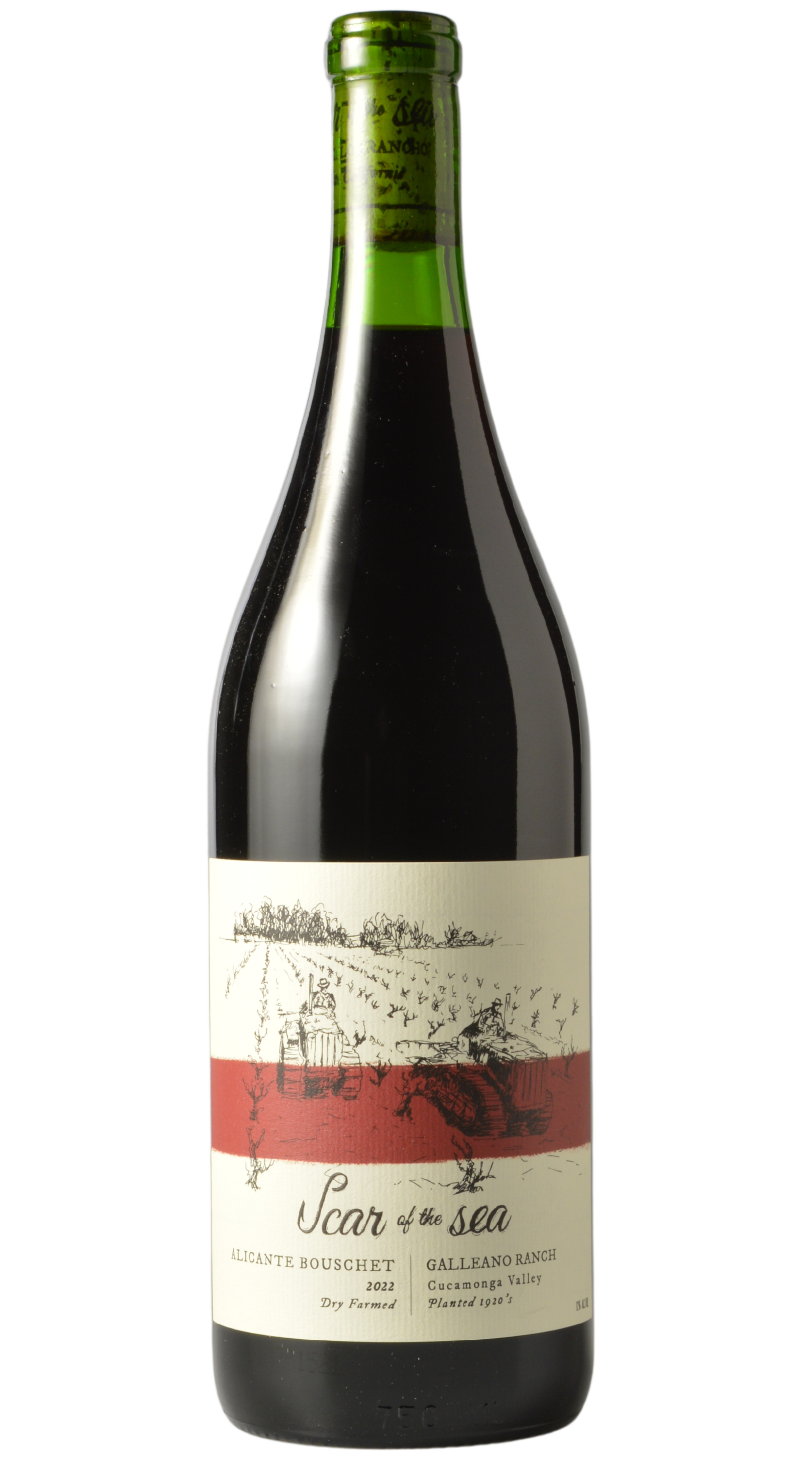 Scar of the Sea "Galleano Rancho" Cucamonga Valley Alicante Bouschet 2022