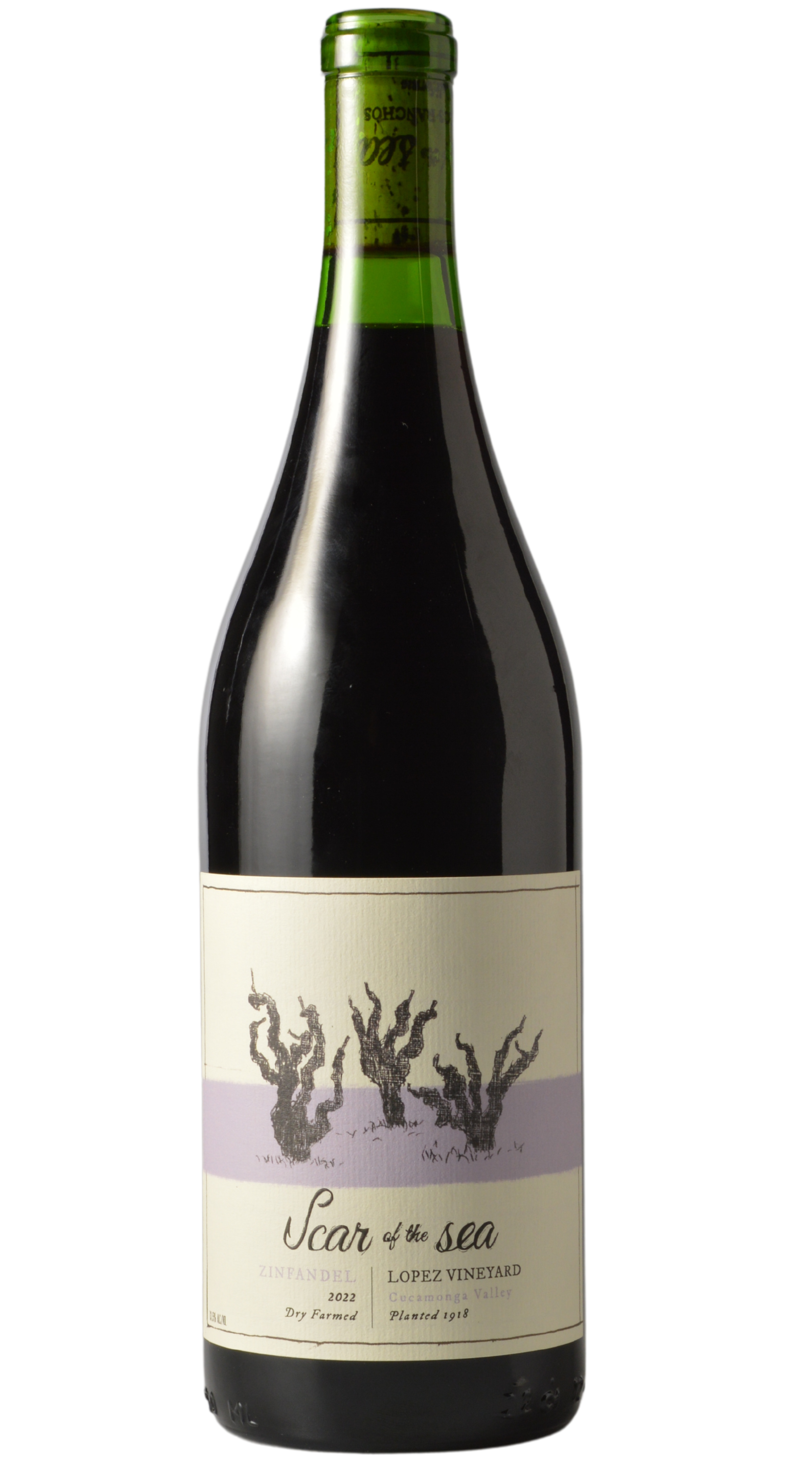 Scar of the Sea "Lopez Vineyard" Cucamonga Valley Zinfandel 2022