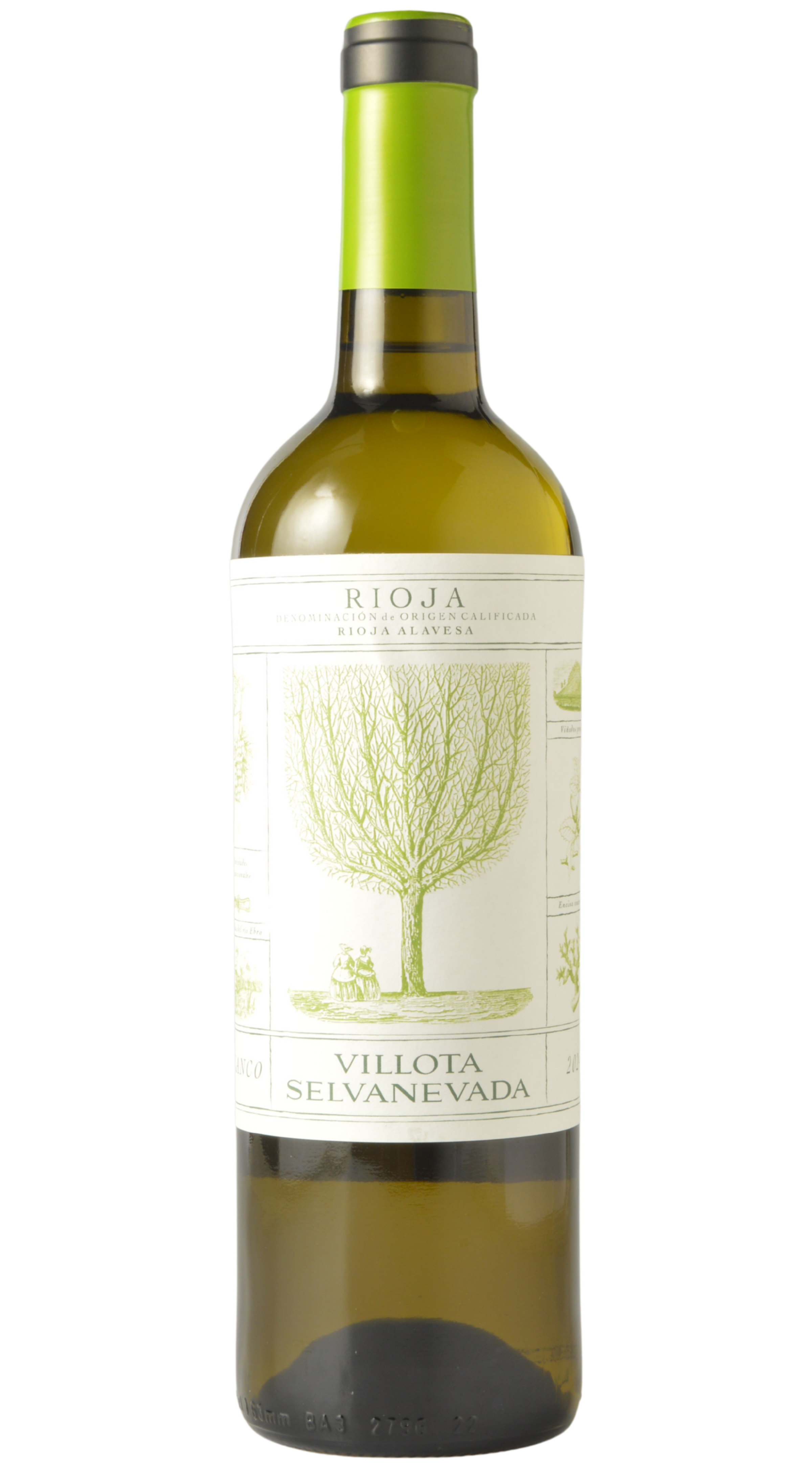 Villota "Selvanevada" Rioja Alavesa Blanco 2024