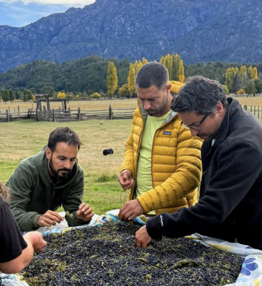Bosque "Nativo" Patagonia Craft Gin