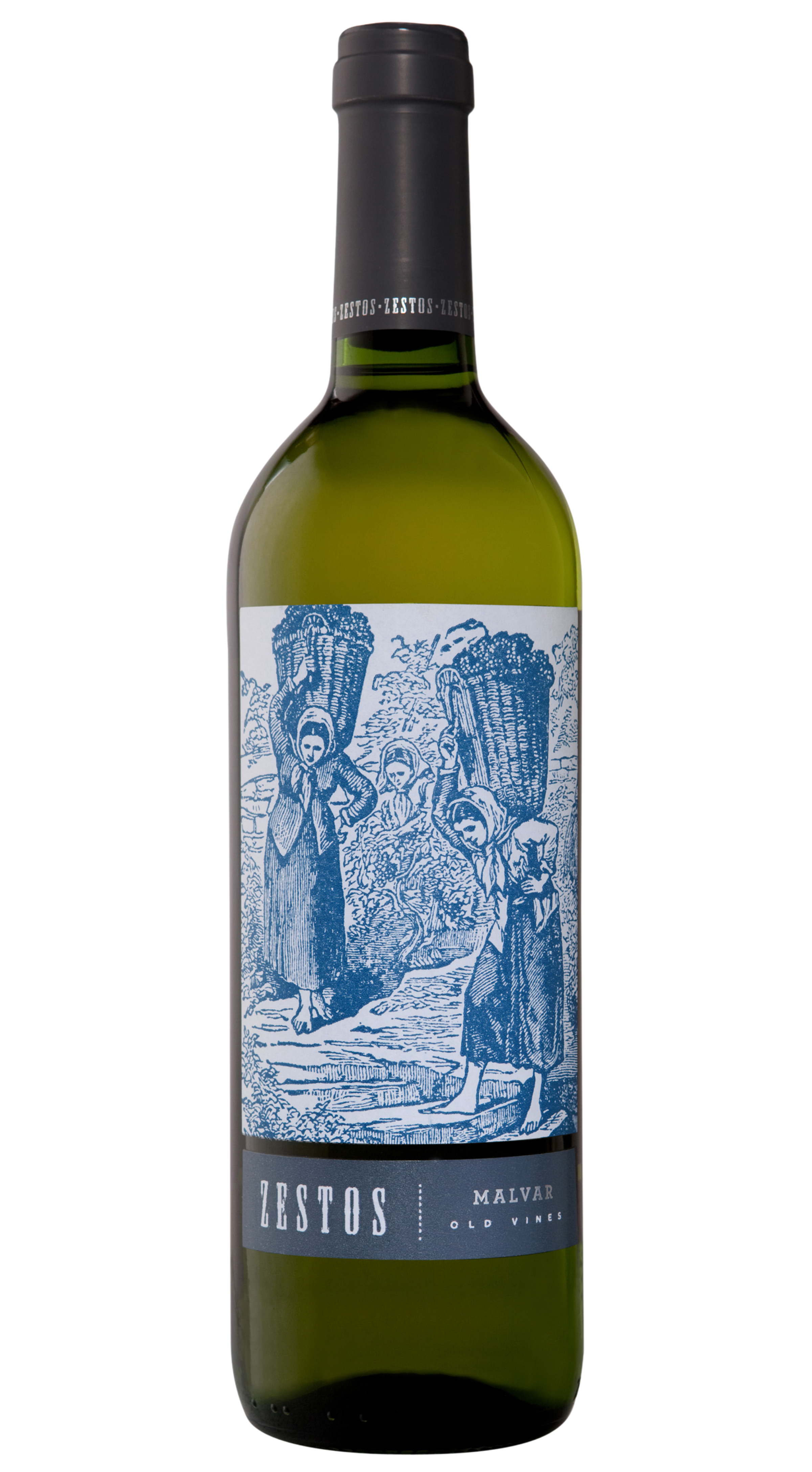 Vinos del Atlantico "Zestos" Vinos de Madrid Malvar Blanco 2021